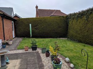 Garden Landscape Project