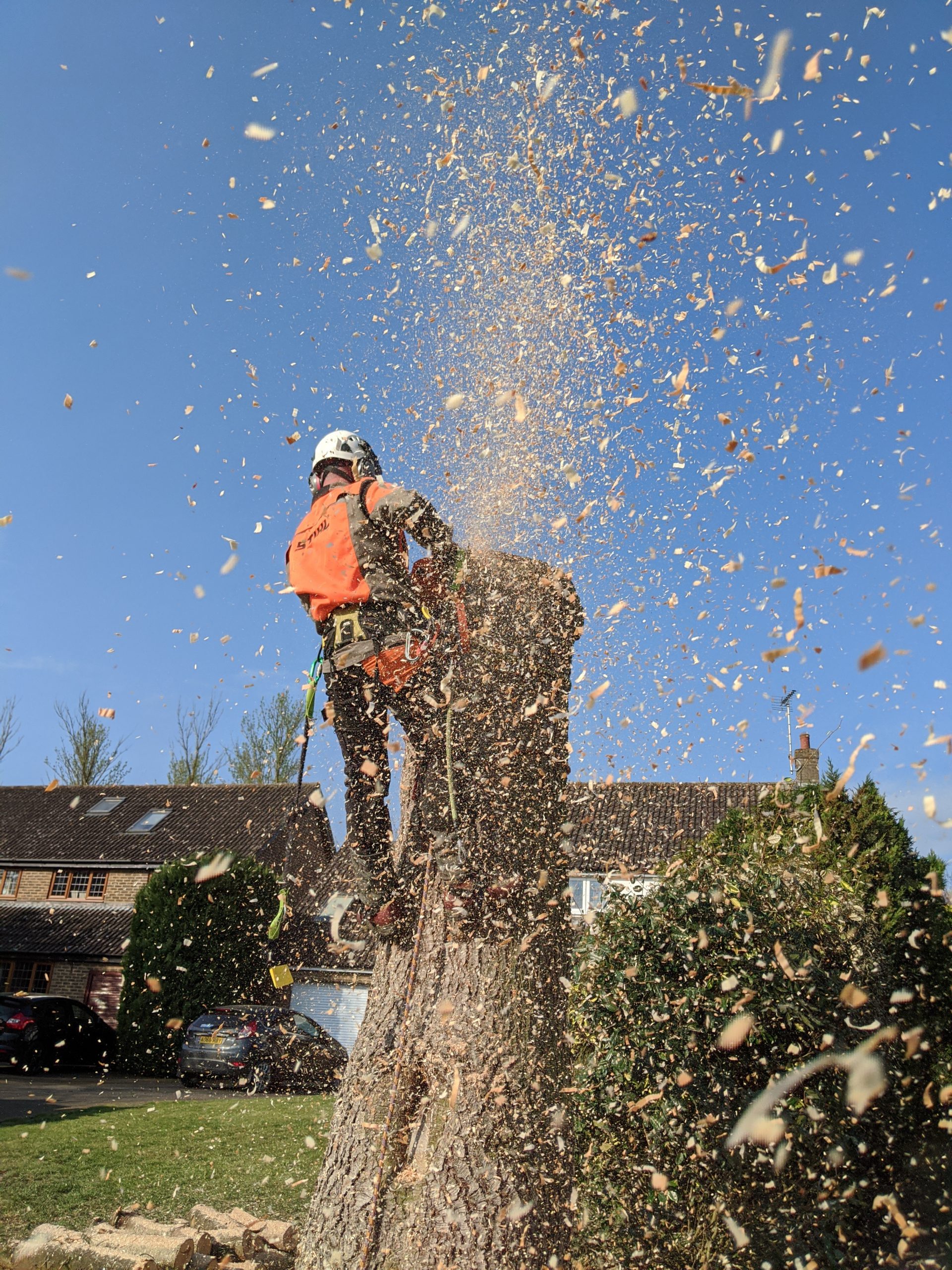 Read more about the article Garden maintenance and tree surgeon Great Dunmow