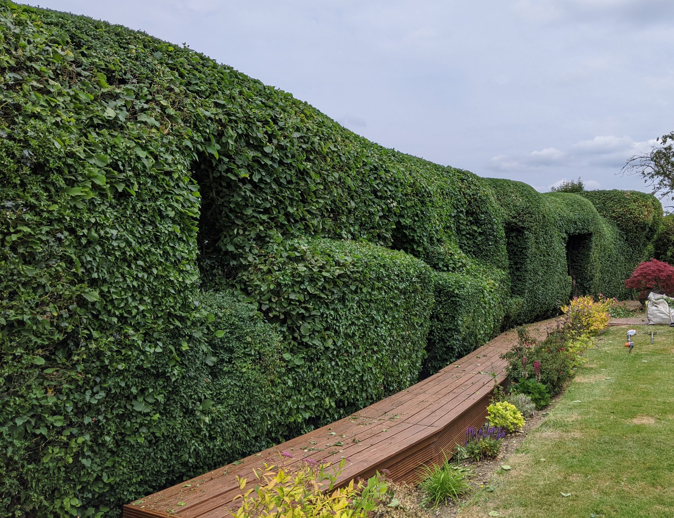 Hedge Pruning and Shaping Great Dunmow