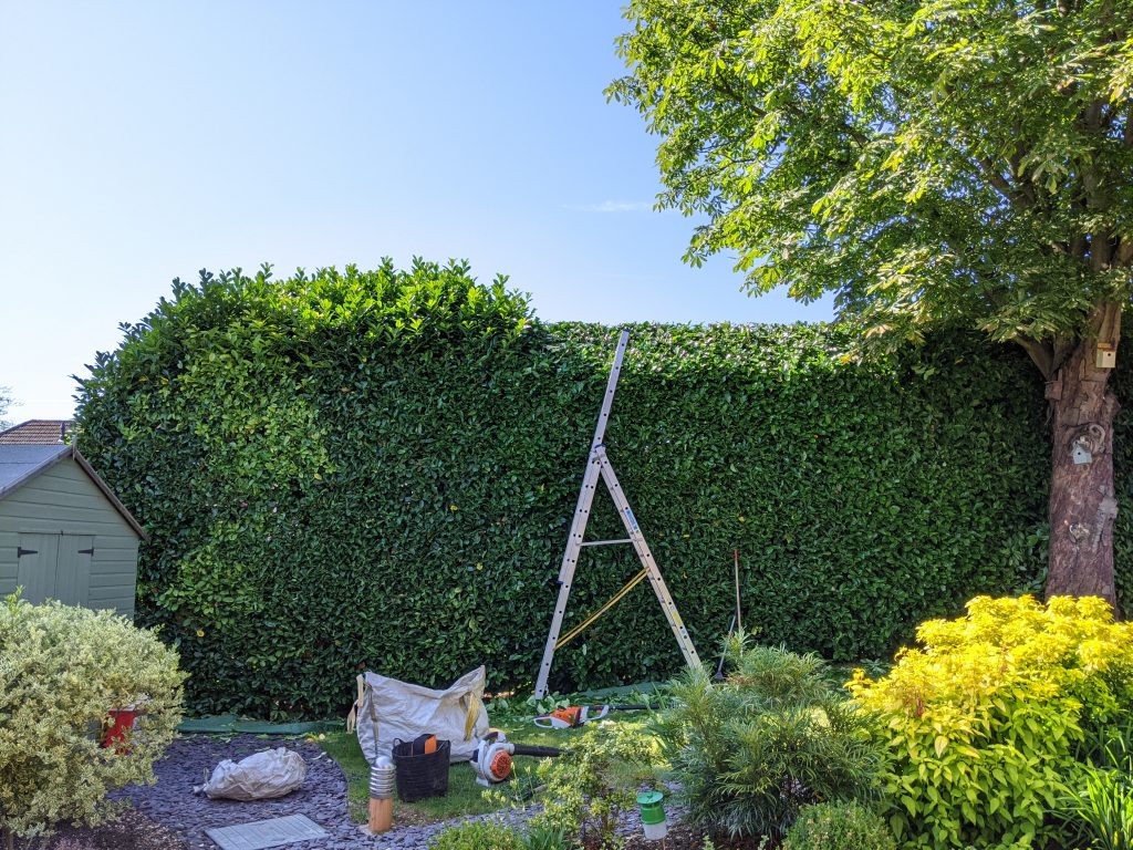 Hedge Reduction and Shaping Dunmow Essex