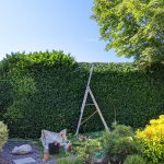 Hedge Reduction and Shaping Dunmow Essex
