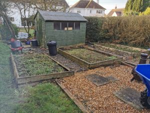 Garden before landscaping