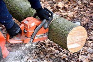 Tree Surgeon Great Dunmow Essex