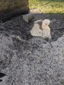 Tree stump removal Great Dunmow