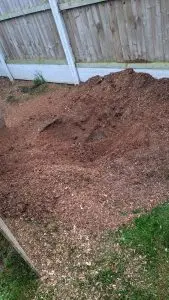 PXL_20211110_093706603