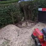 Tree stump removal Bishops Stortford