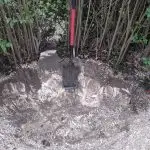 How to remove a tree stump Great Dunmow