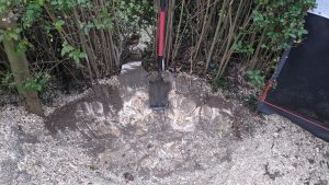 How to remove a tree stump Great Dunmow