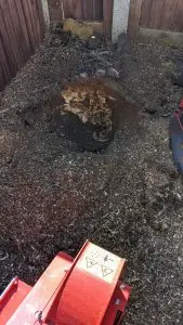 PXL_20220318_094002054