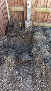 Digging out tree roots