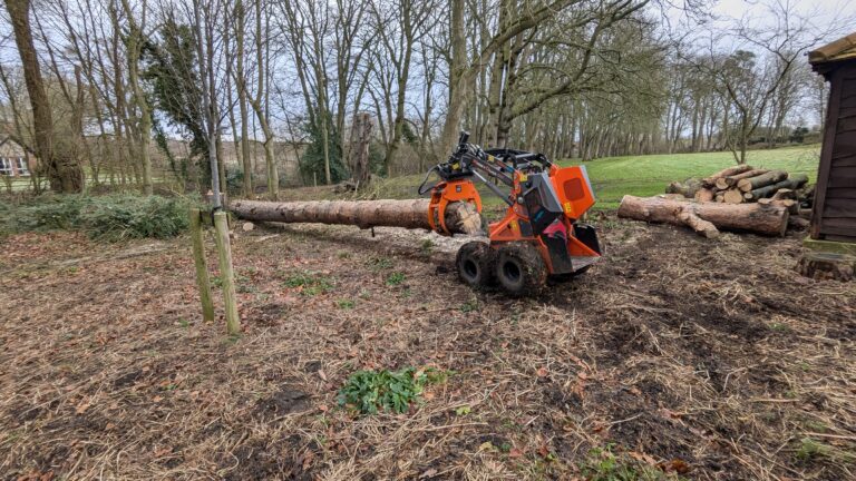 Tree felling in Great Dunmow area